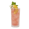 Hibiscus Blossom