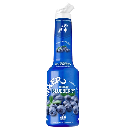 Photo of Blueberry Fruit Syrup-puree MIXER, 1L