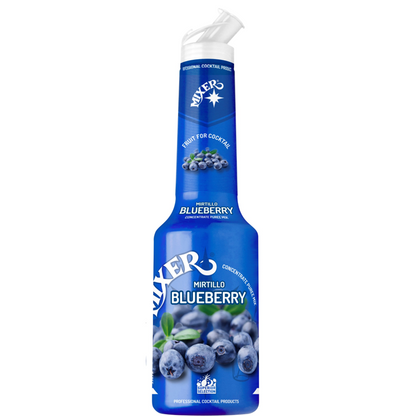 Blueberry Fruit Syrup Puree MIXER B2B