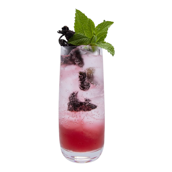 Hibiscus Jalapeno Spritzer