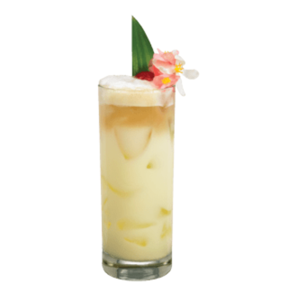 Coconut Gin Fizz