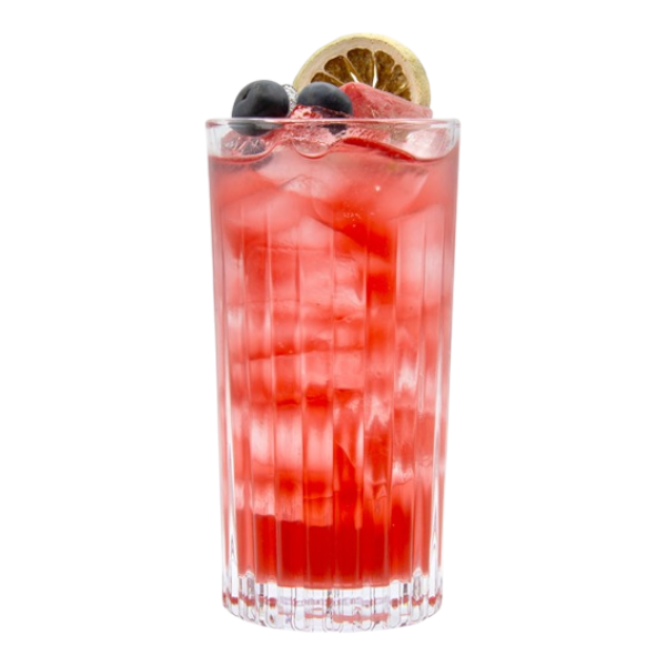 Blueberry Hibiscus Shrub