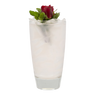 Watermelon Rose Water