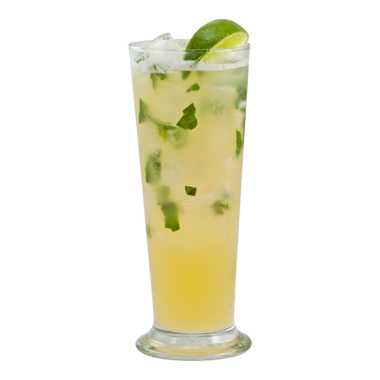 Citrus Mint Soda