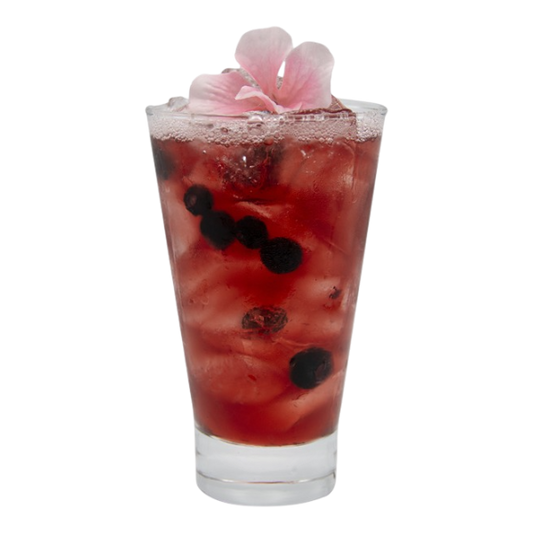 Spiced Blueberry Hibiscus Kombucha