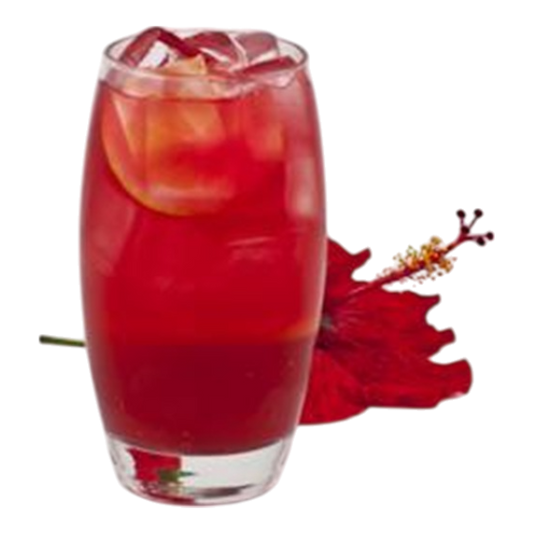 Hibiscus Strawberry Soda