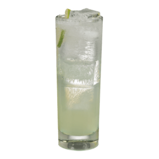 Elderflower Spritzer