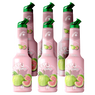 Guava Fruit Syrup Puree MIXER B2B
