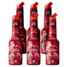 Raspberry Fruit Syrup Puree MIXER B2B