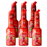 Strawberry Fruit Syrup Puree MIXER B2B