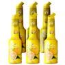 Yuzu Fruit Syrup Puree MIXER B2B